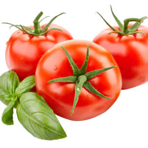 Tomates