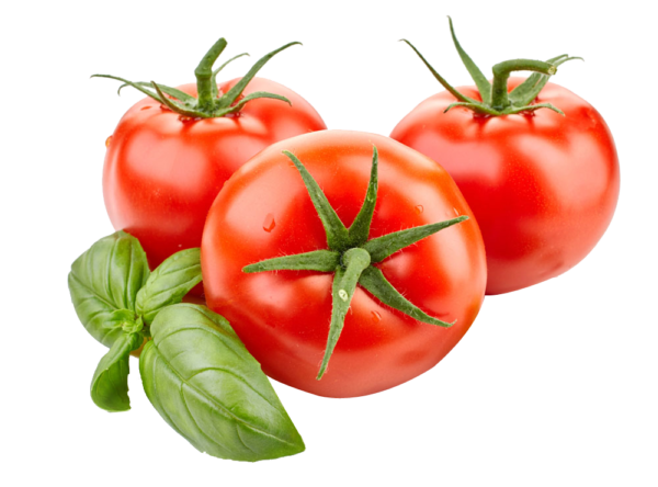 Tomates